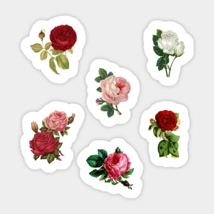 Vintage Roses pack Sticker